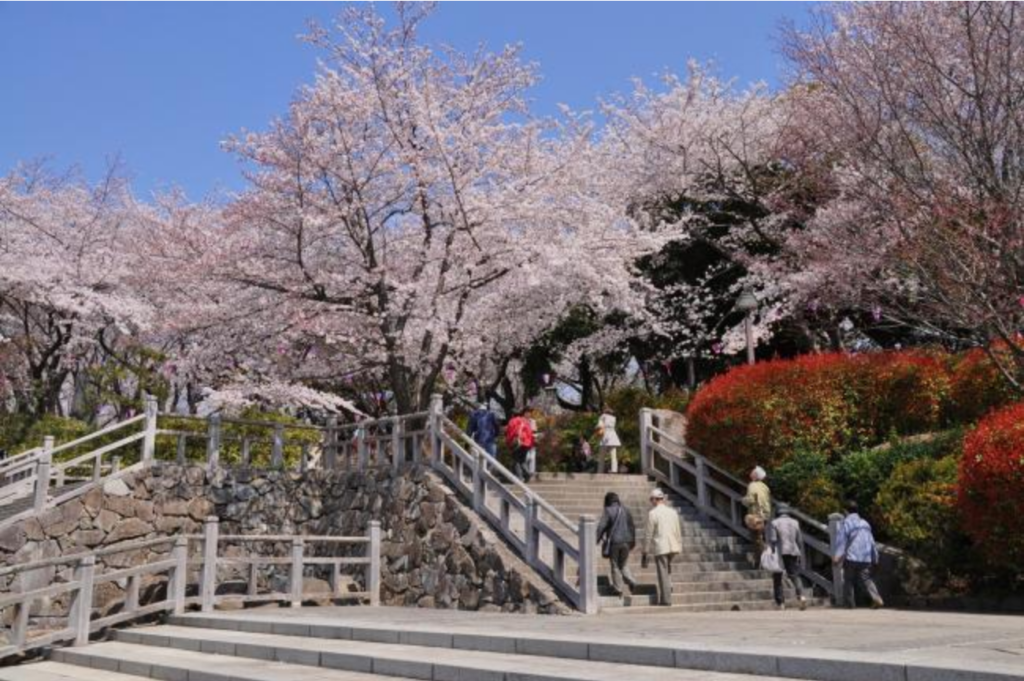 飛鳥山公園